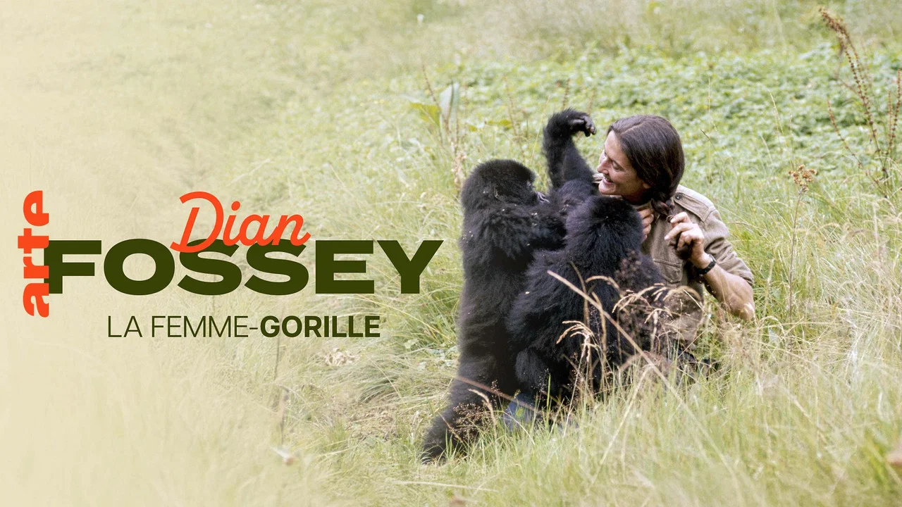 Dian Fossey: Ihr Leben f&uuml;r die Gorillas - 剧照