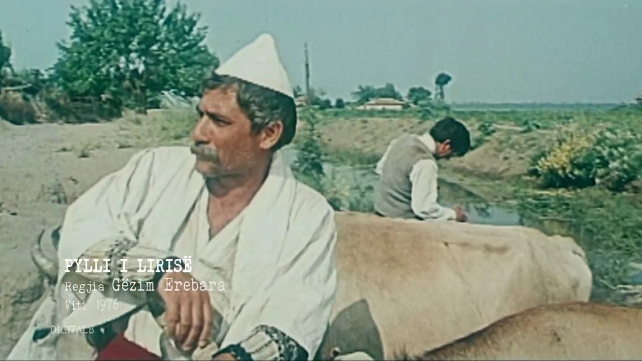 Pylli i liris&euml; - 剧照