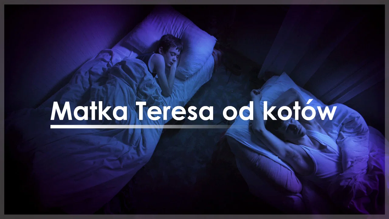 Matka Teresa od kot&oacute;w - 剧照