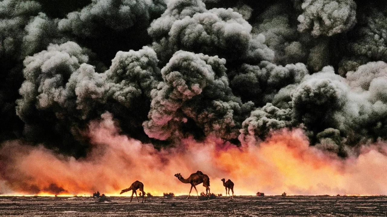 McCurry: The Pursuit of Colour - 剧照