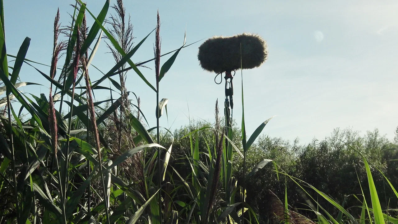 In a Silent Way - 剧照