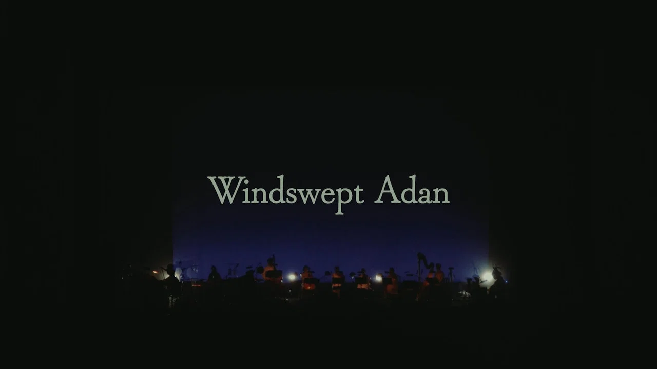 Windswept Adan - Live at Orchard Hall - 剧照