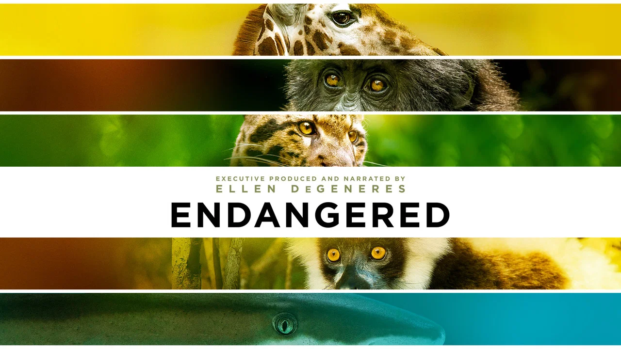 Endangered - 剧照