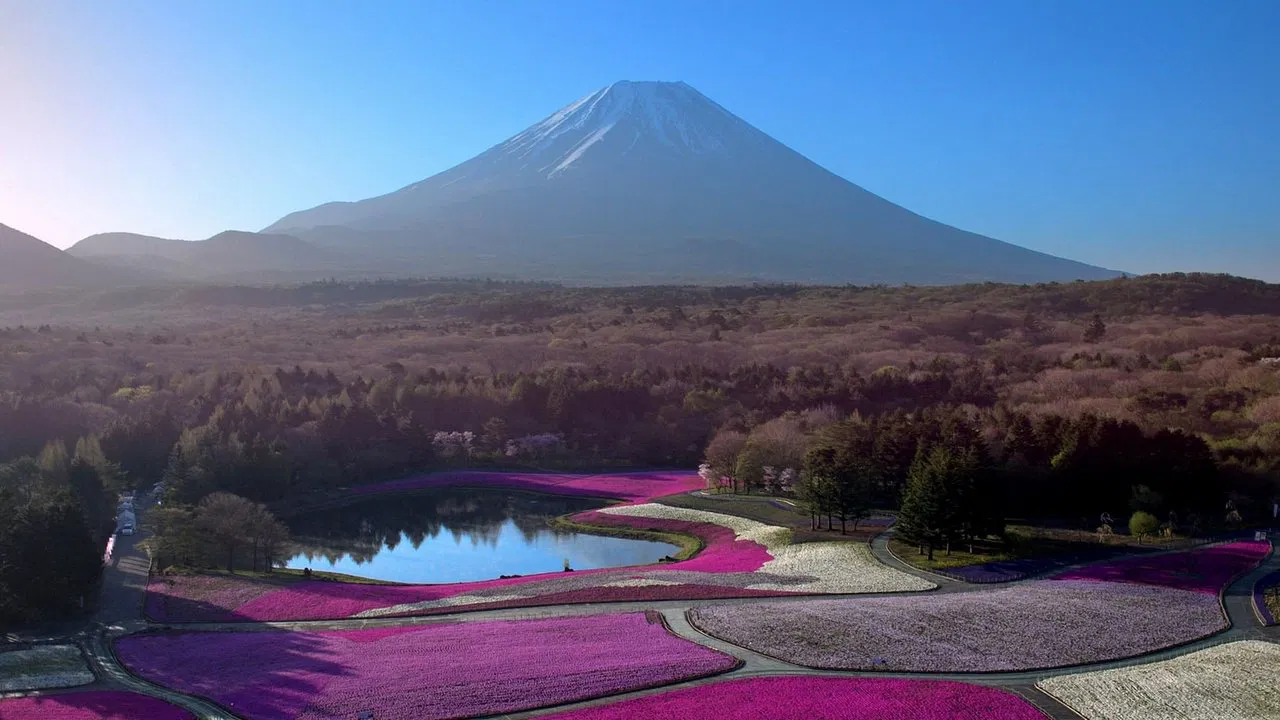 Japon, aux racines du soleil - 剧照