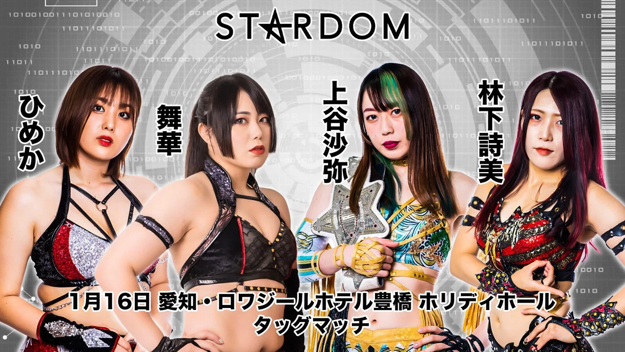 スターダム豊橋大会 - 剧照