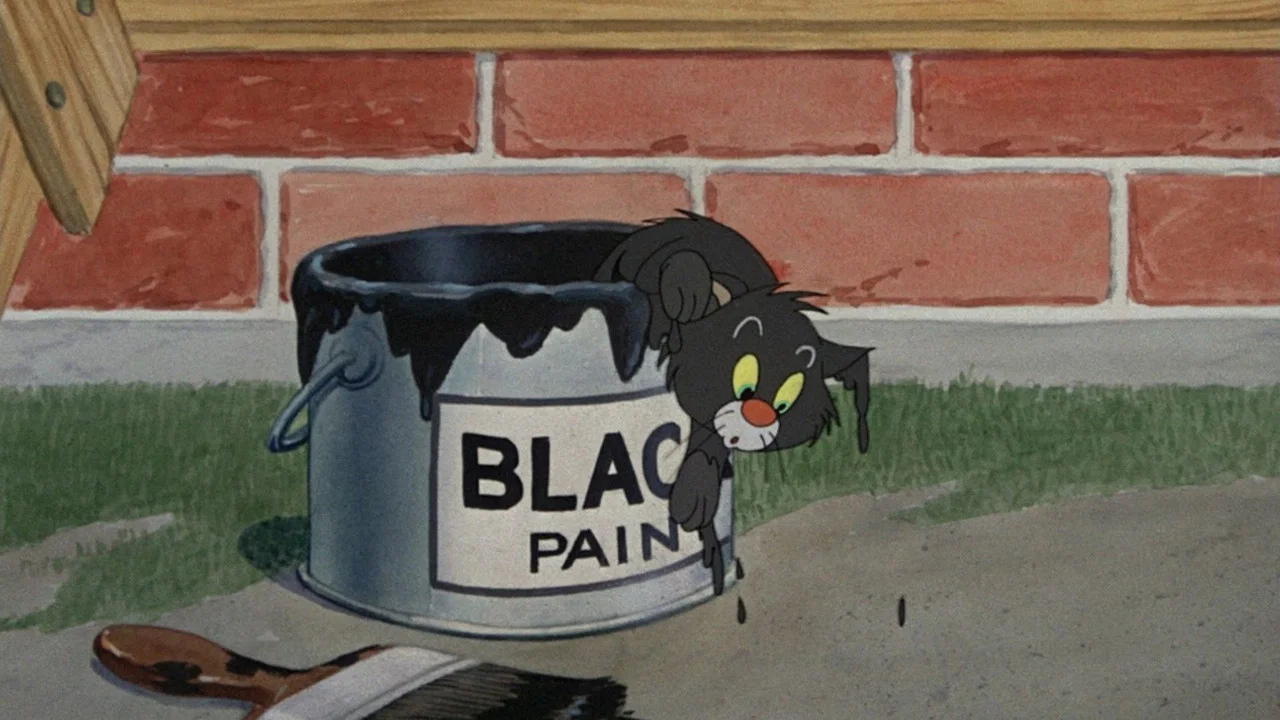 厄运小黑猫 - 剧照
