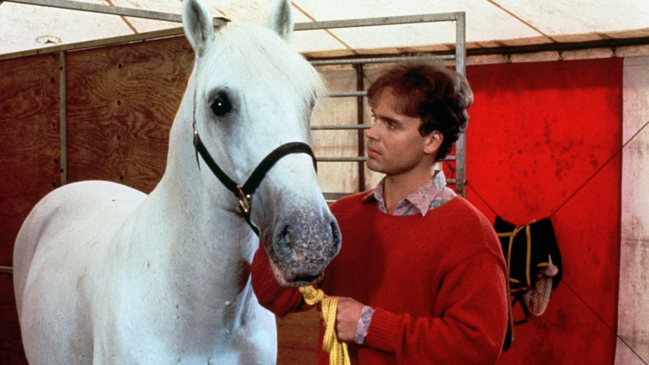 Mein Freund, der Lipizzaner - 剧照
