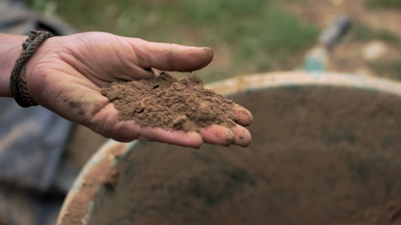 L'&Eacute;veil de la Permaculture - 剧照