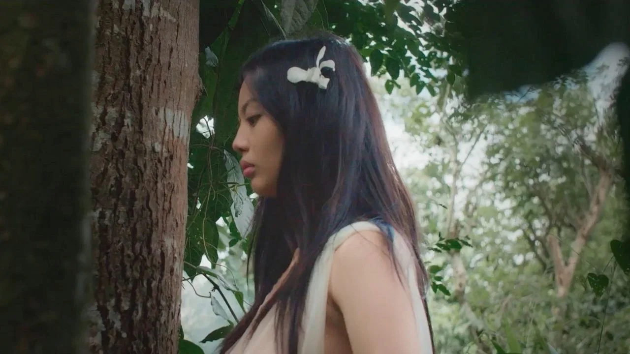 处女森林 - 剧照