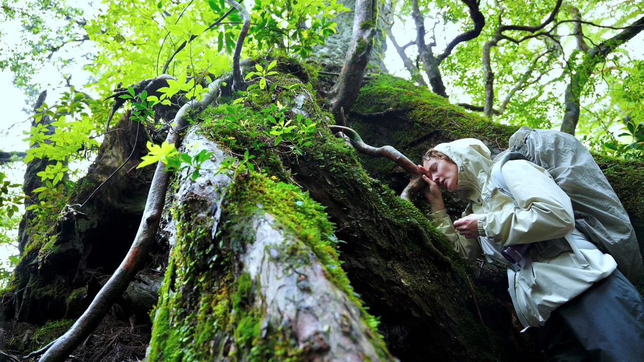 L'Illusion de Yakushima - 剧照