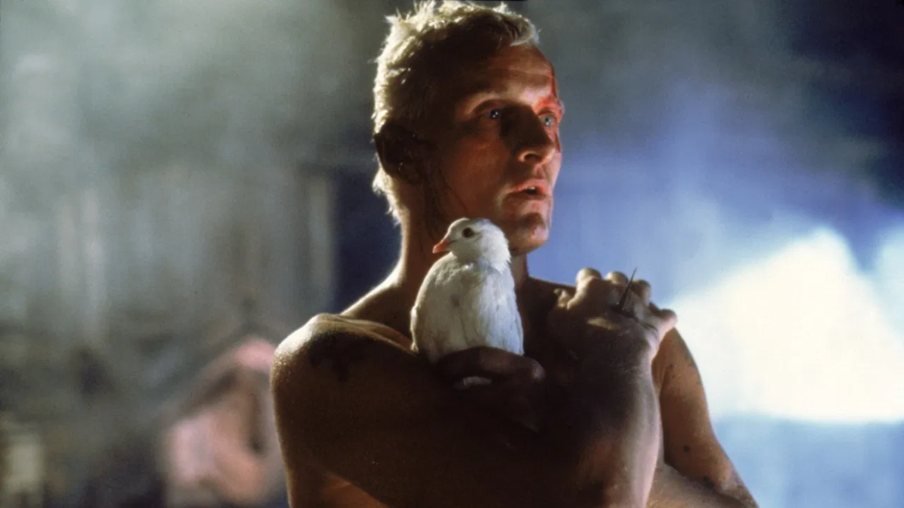 Das Ph&auml;nomen Blade Runner - 剧照