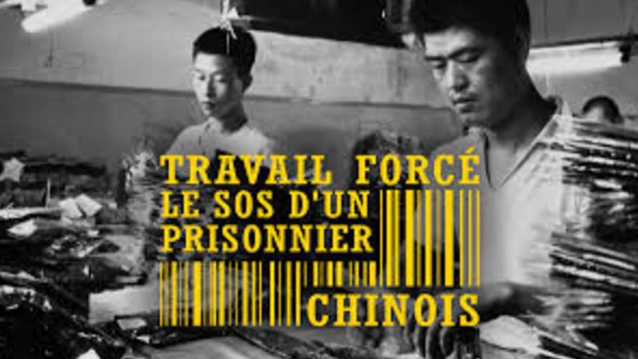 中国信：中国监狱SOS - 剧照