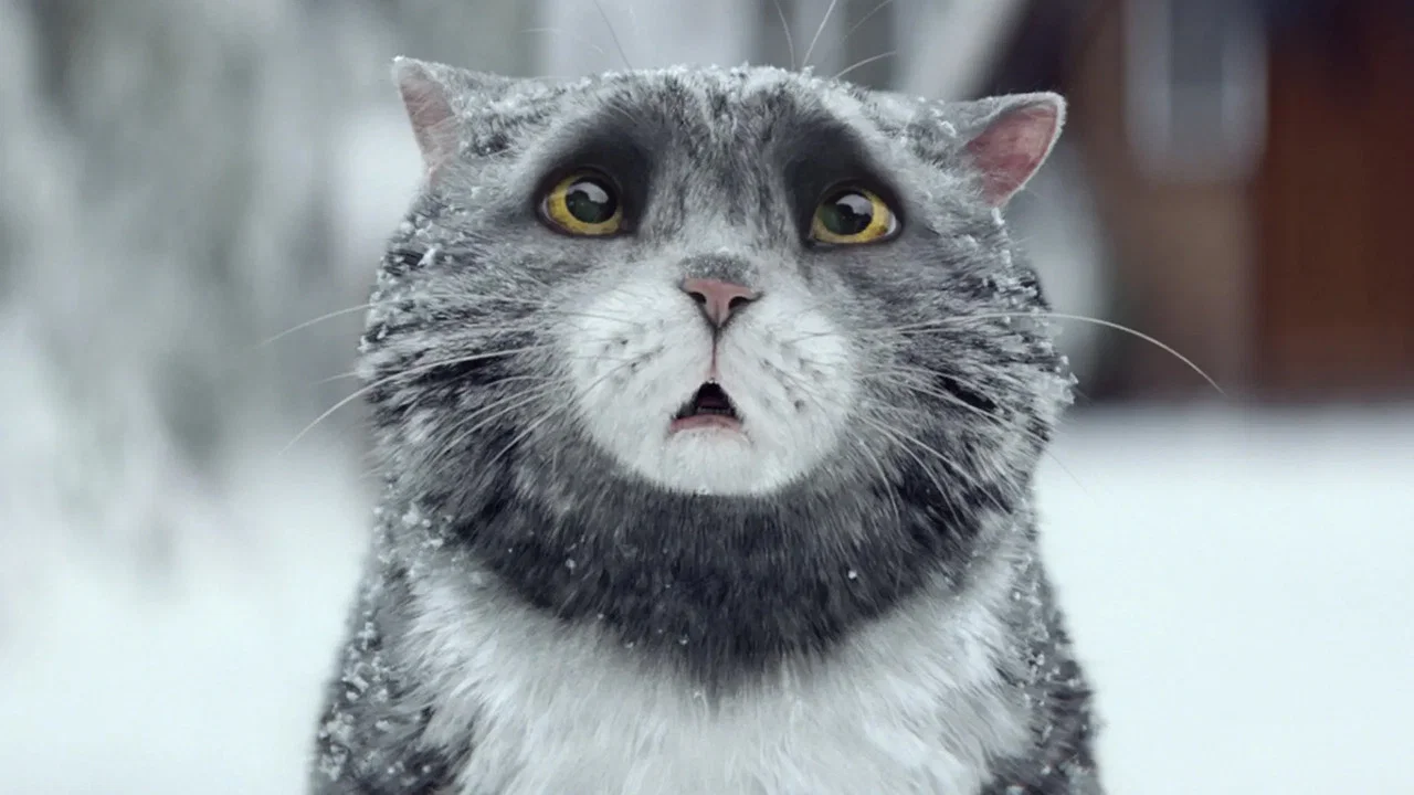 Sainsbury's: Mog's Christmas Calamity - 剧照