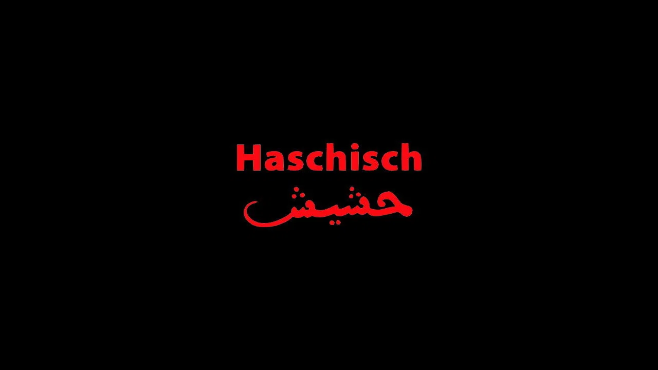 Haschisch - 剧照