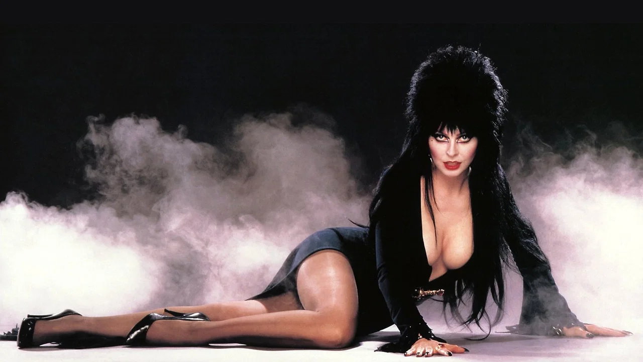 Too Macabre: The Making of Elvira, Mistress of the Dark - 剧照