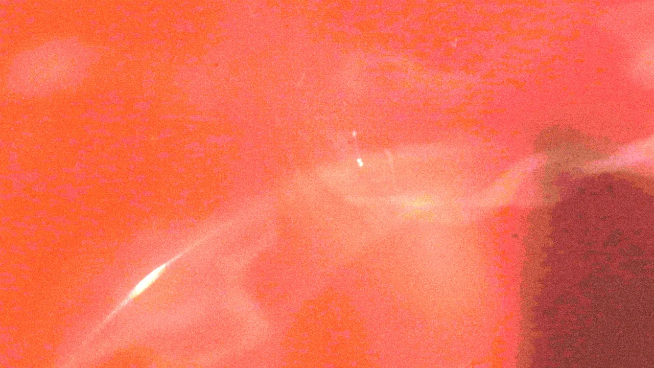 Kova - 剧照