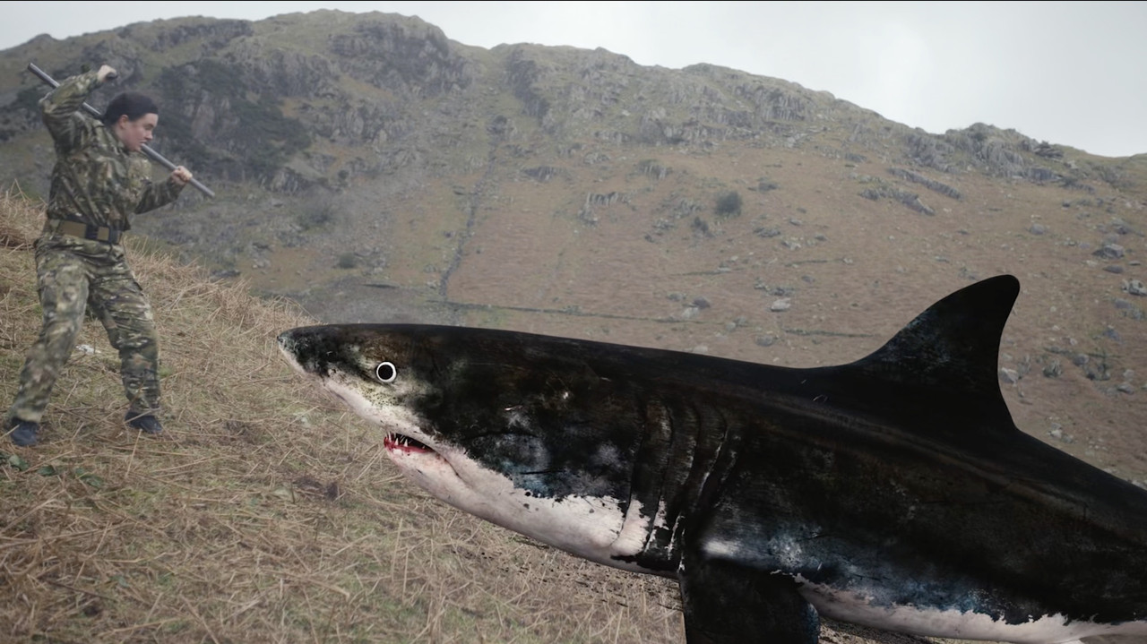 Mountain Shark - 剧照