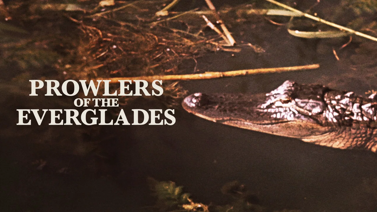 Prowlers of the Everglades - 剧照
