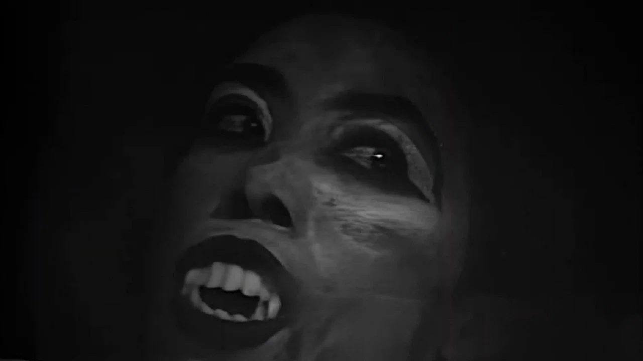 Fright Night of the Living Dead - 剧照
