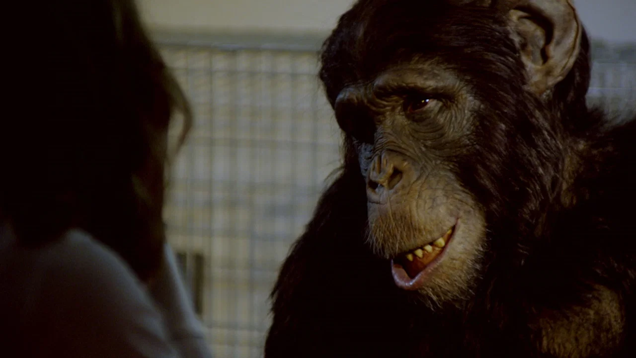 Amazing Ape - 剧照