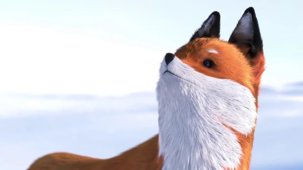 A Fox and a Mouse - 剧照