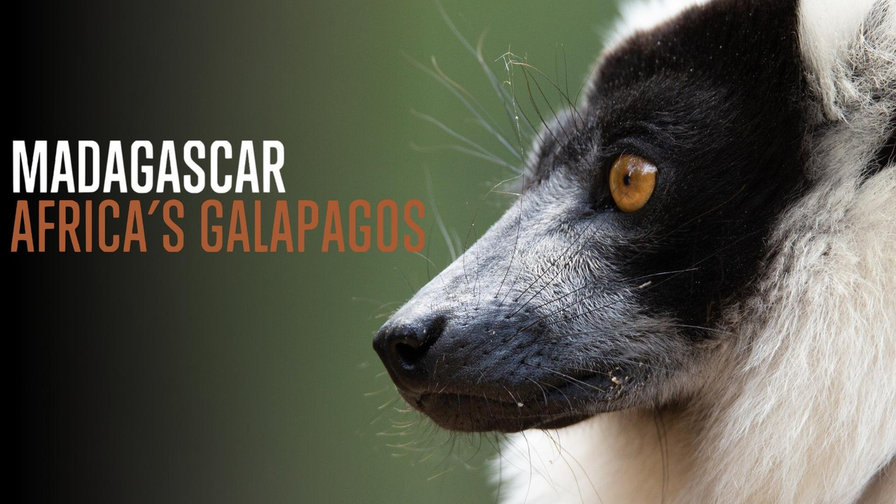 Madagascar: Africa's Galapagos - 剧照