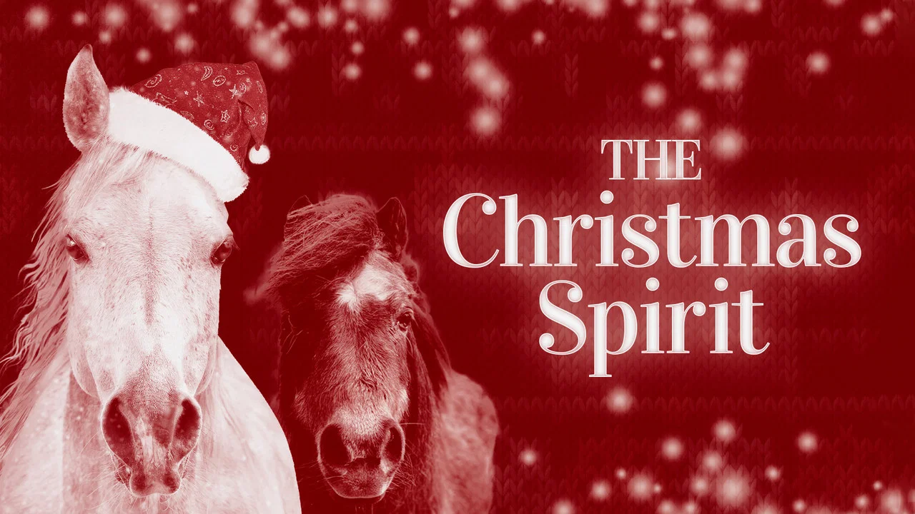The Christmas Spirit - 剧照