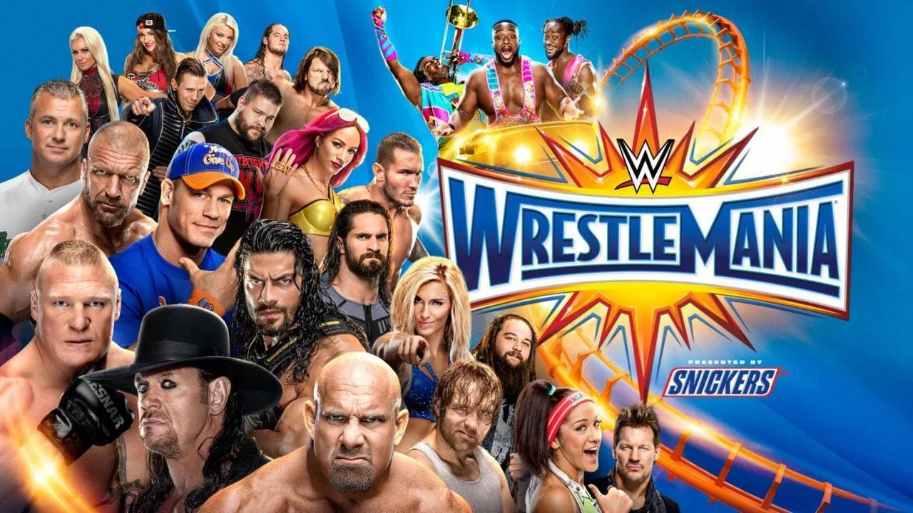 WWE 摔角狂热 33 - 剧照