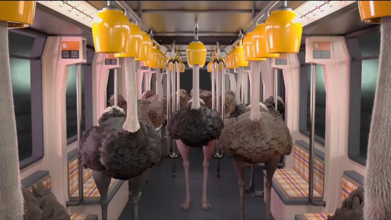 Ostrich Politic - 剧照