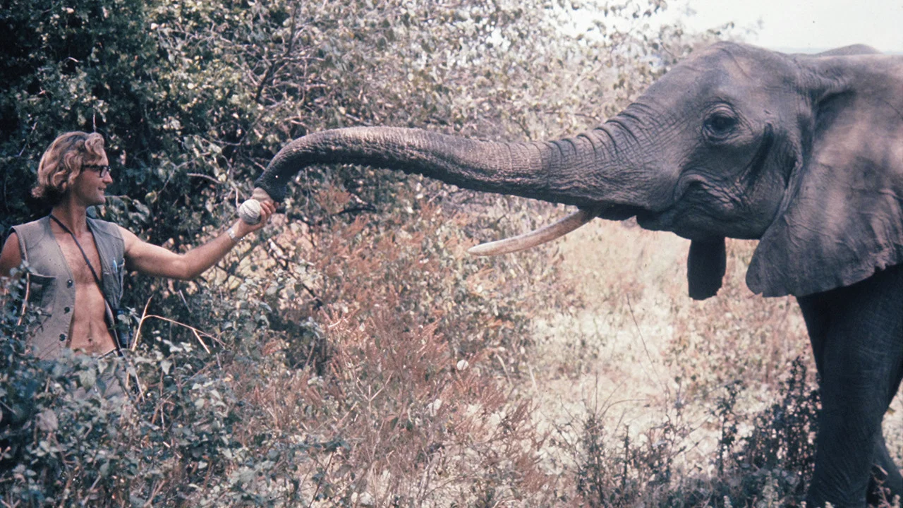 A Life Among Elephants - 剧照