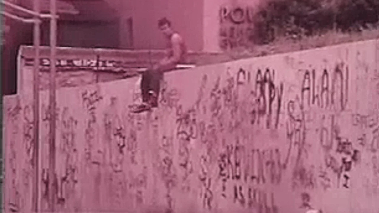 The Vandals - 剧照