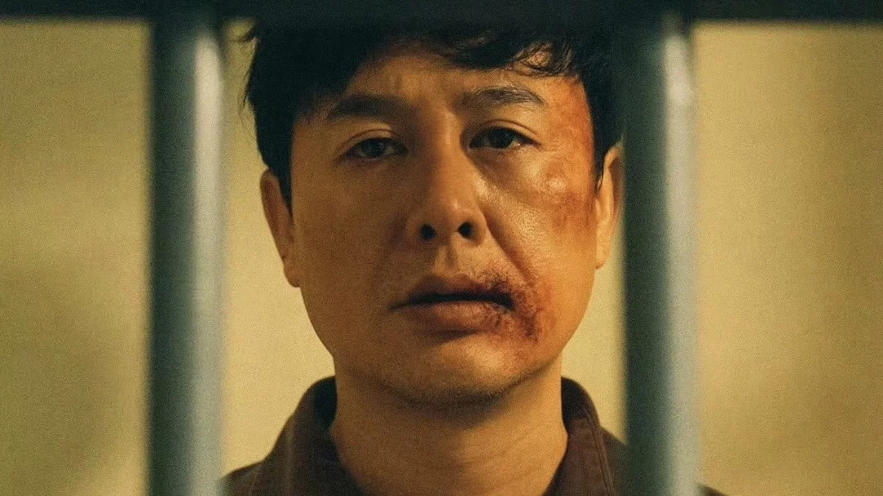紙盒藏迷 - 剧照