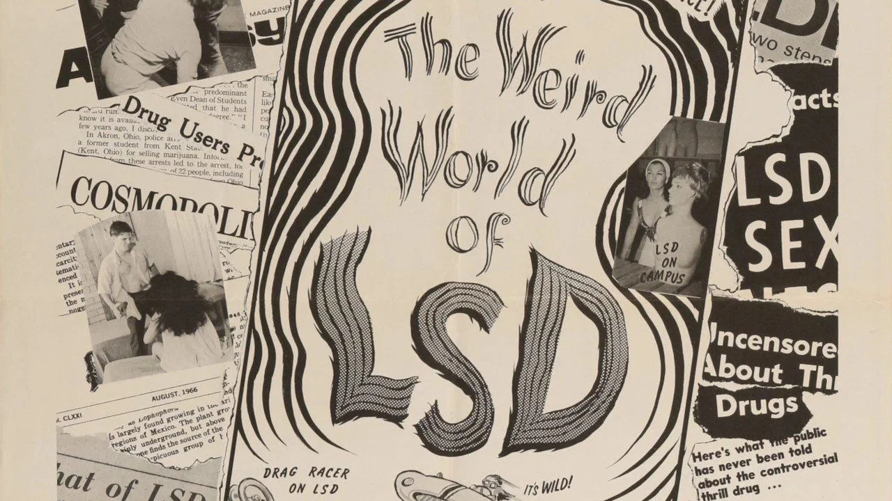 The Weird World of LSD - 剧照