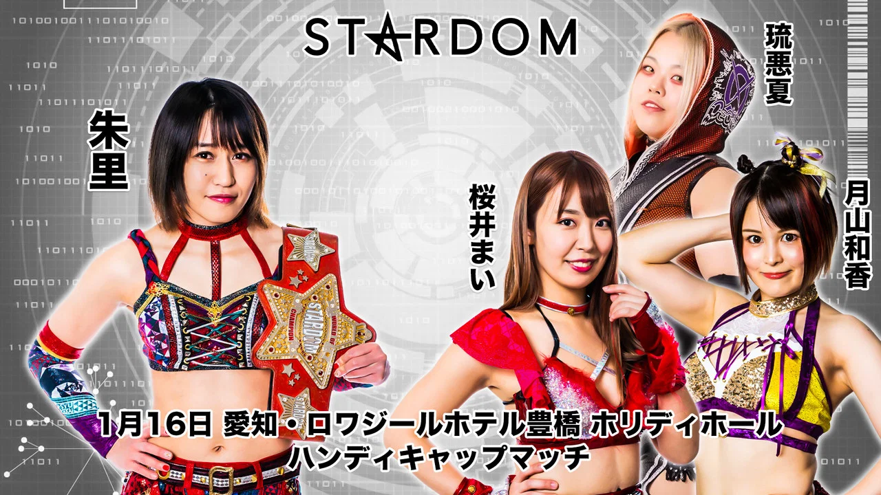 スターダム豊橋大会 - 剧照