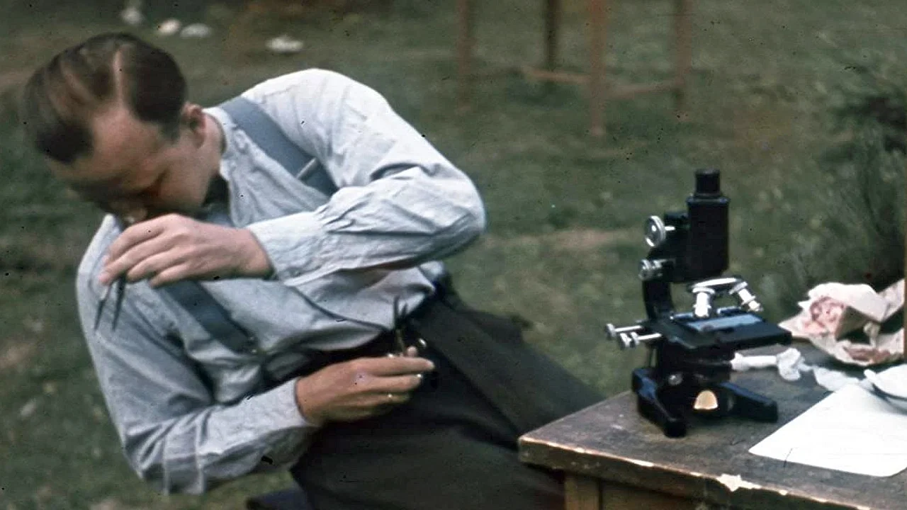 Les junkies d'Adolf Hitler - 剧照