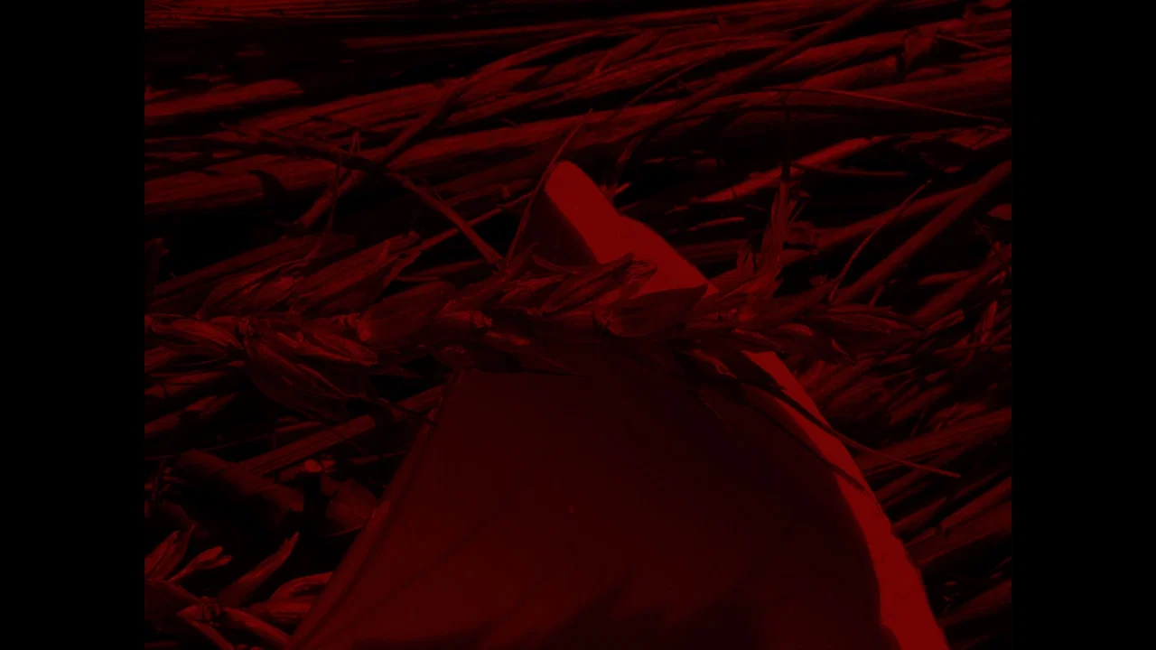 Afflatus - 剧照