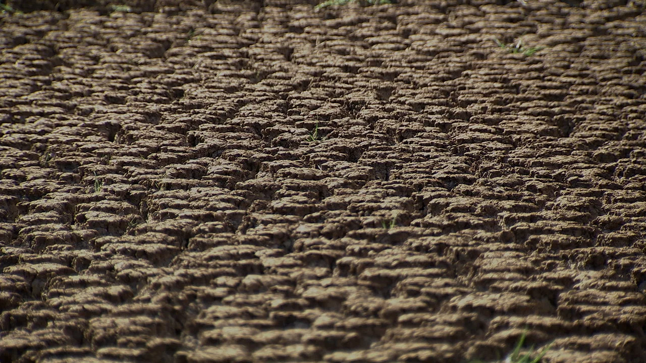 Without Water - 剧照