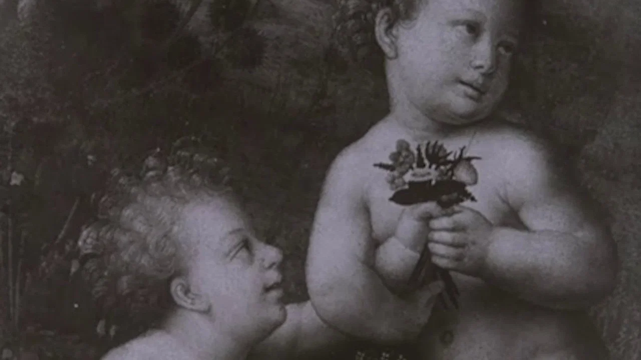 Leonardo Da Vinci The Tragic Pursuit of Perfection - 剧照