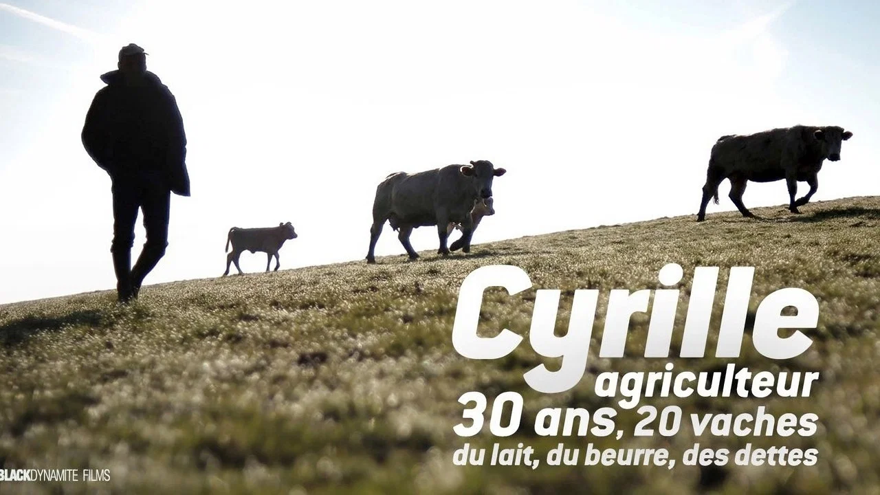 Cyrille, agriculteur, 30 ans, 20 vaches, du lait, du beurre, des dettes - 剧照