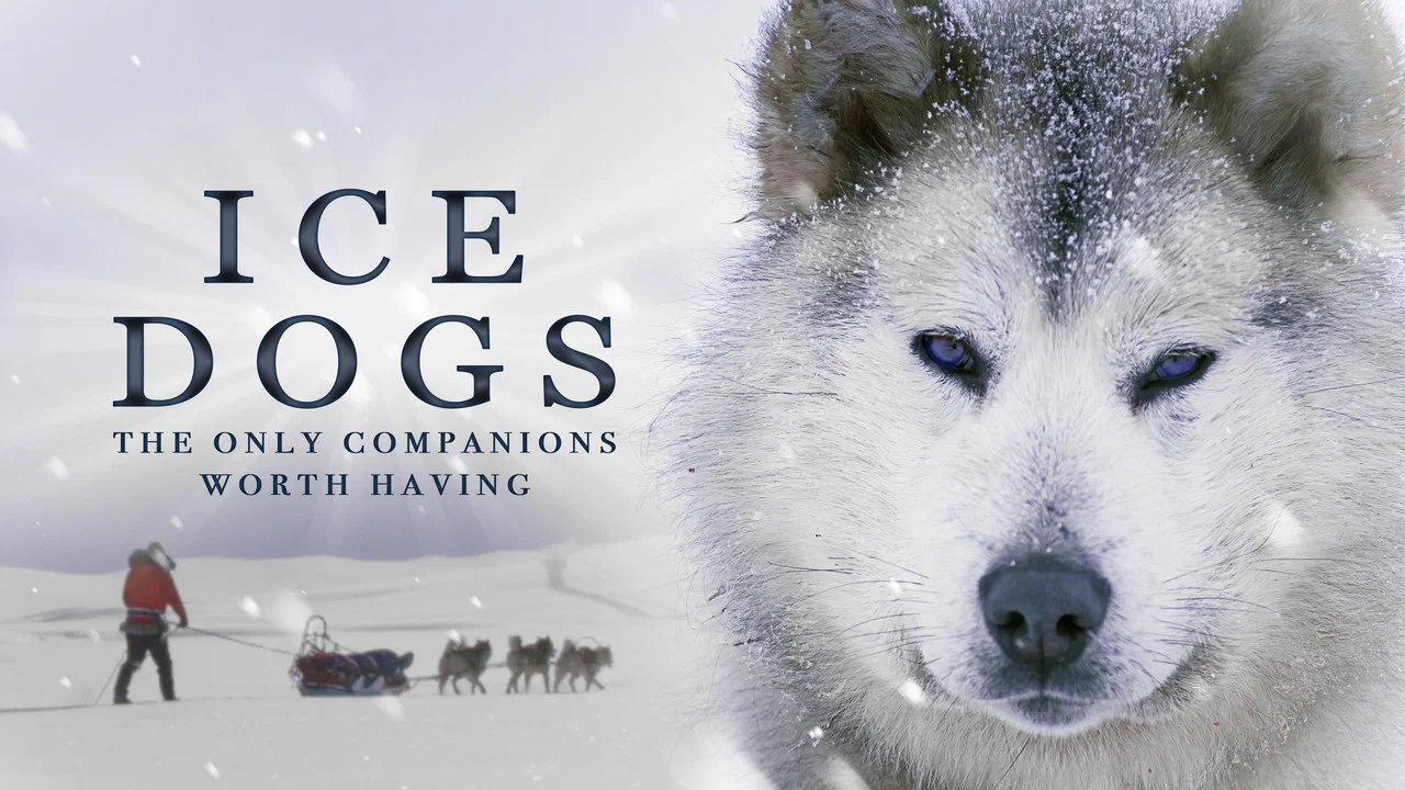 Ice Dogs: The Only Companions Worth Having - 剧照