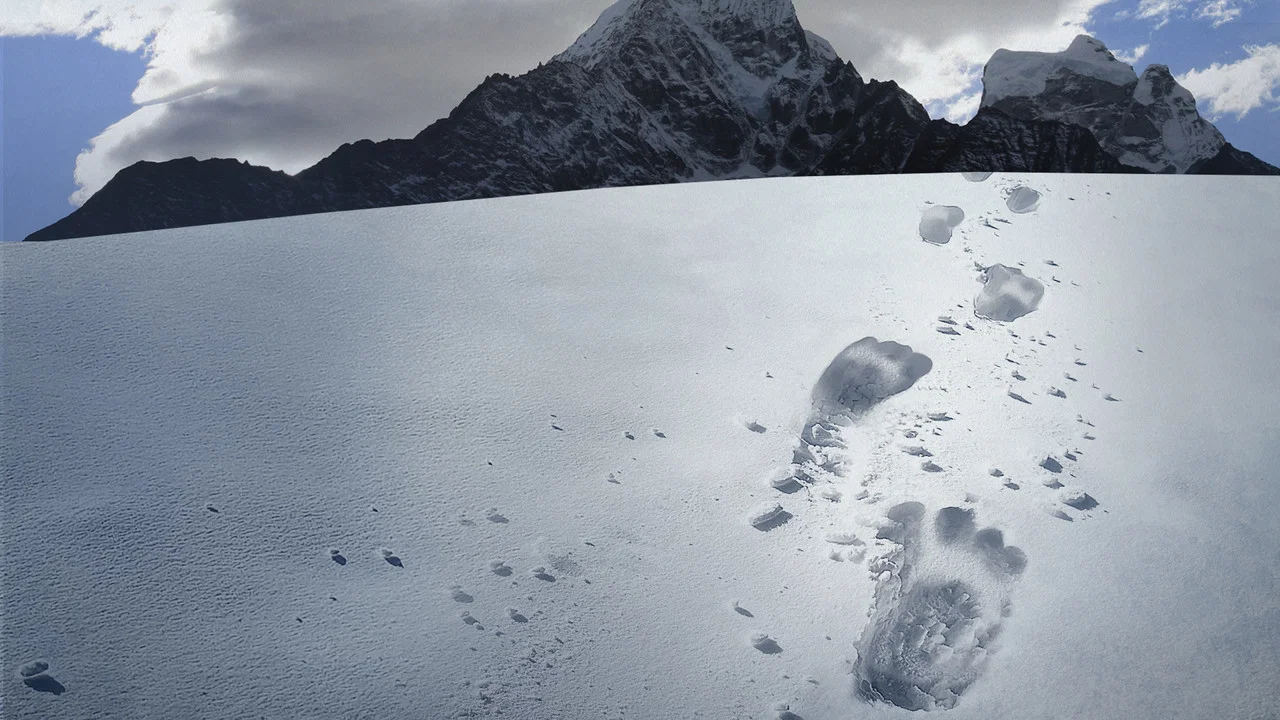 Hunt for the Abominable Snowman - 剧照