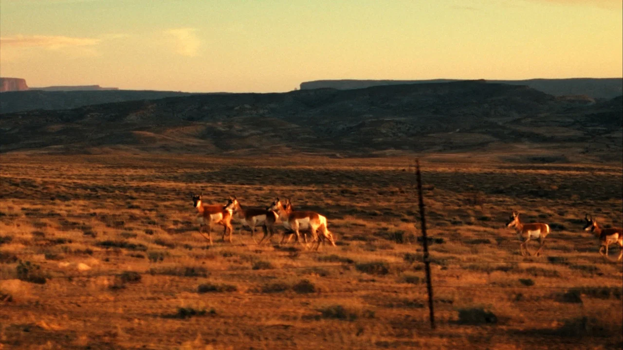 Edward Abbey, naturellement subversif ! - 剧照