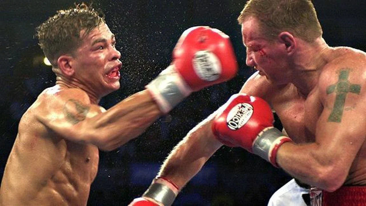 Legendary Nights: The Tale of Gatti-Ward - 剧照