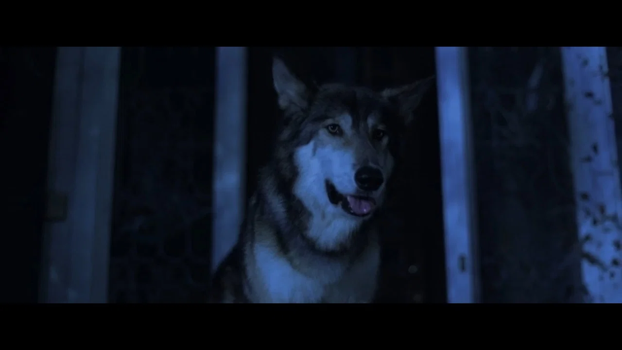 Lycan - 剧照
