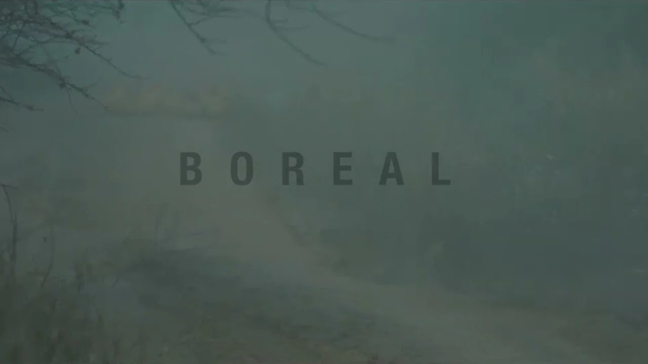 Boreal - 剧照