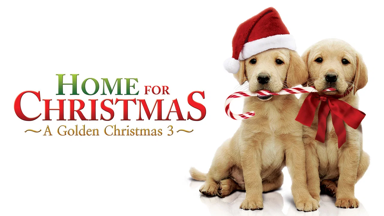 A Golden Christmas 3 - 剧照