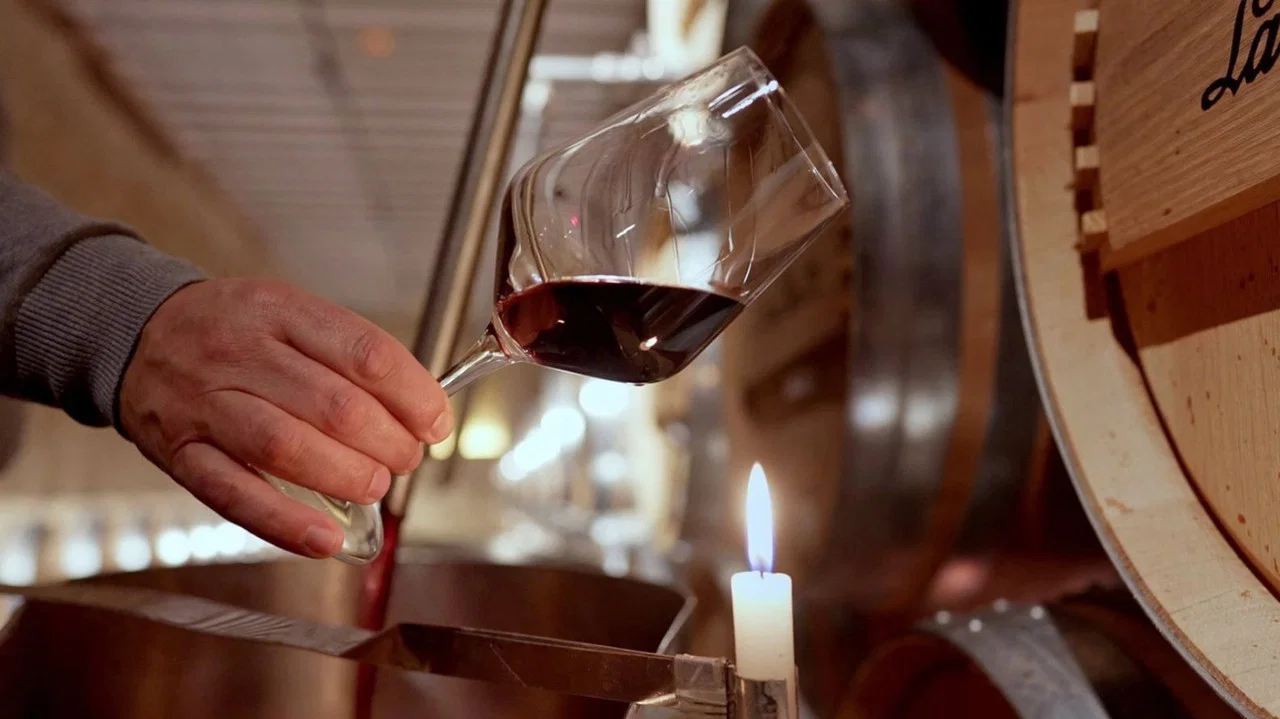 Rioja, la tierra de los mil vinos - 剧照