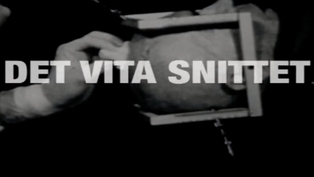 Det vita snittet - 剧照