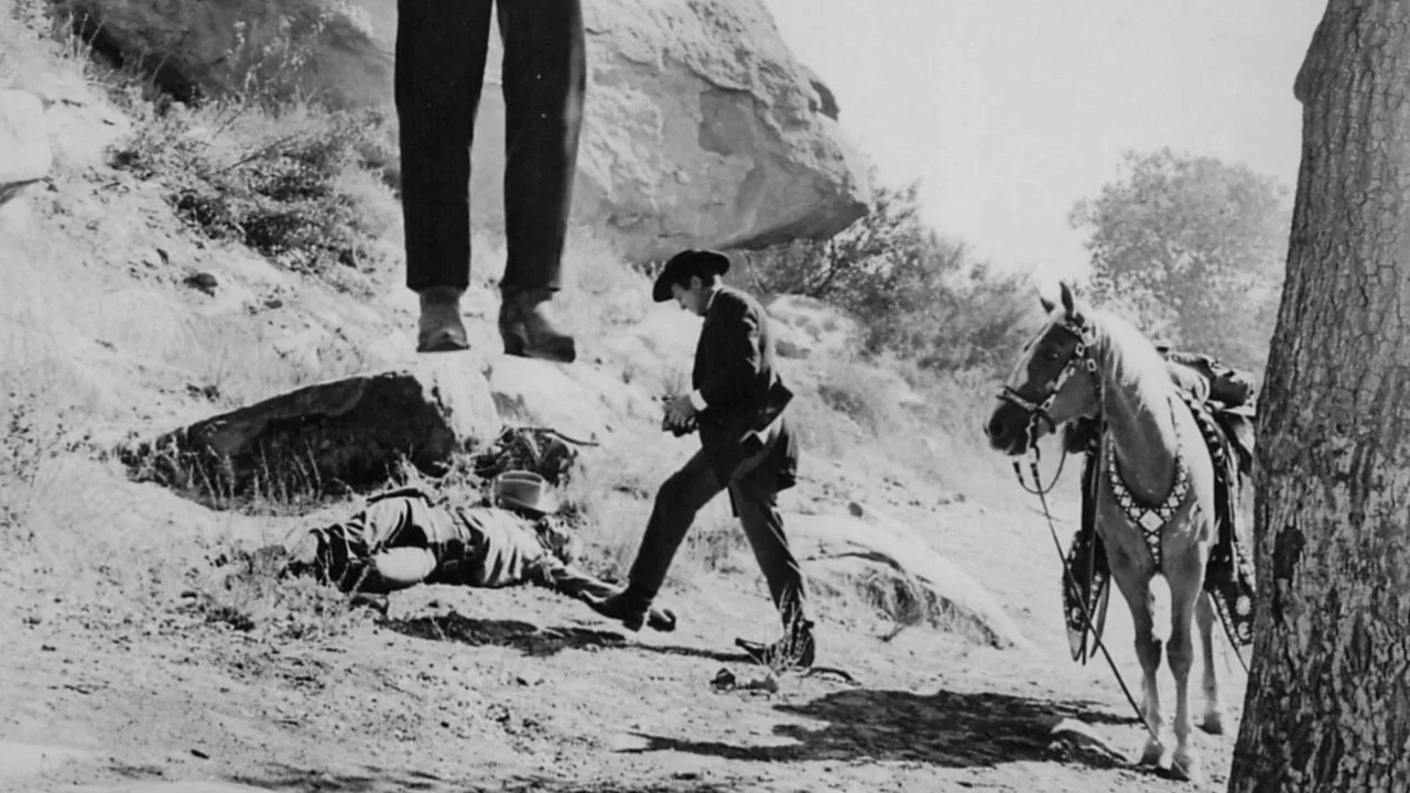 The Gambler Wore a Gun - 剧照