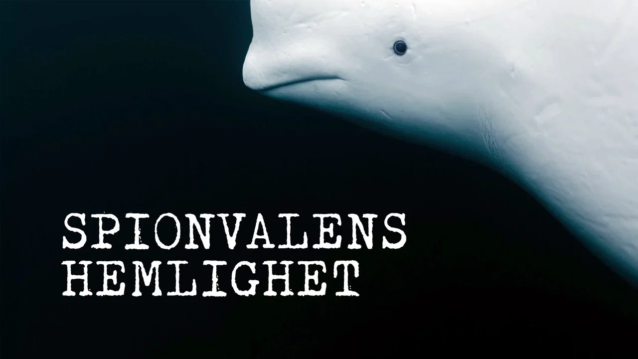 Secrets of the Spy Whale - 剧照